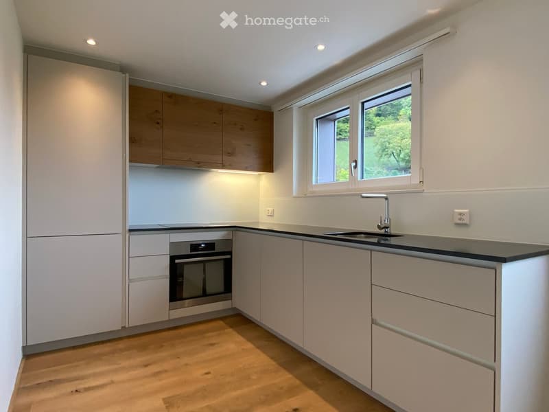 modern kitchen with white cabinets, wooden floor, black countertop, stainless steel sink, oven, dishwasher, window with view