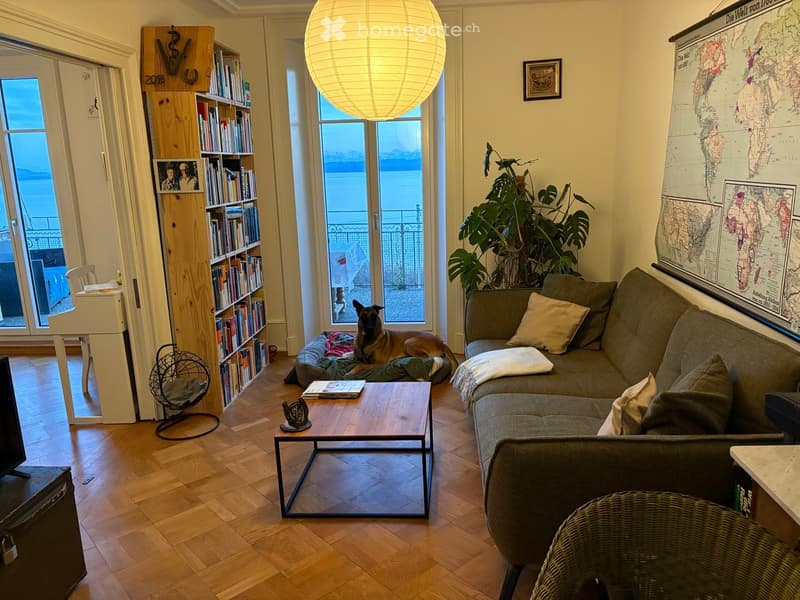 Living room with wooden floor, couch, coffee table, dog, bookshelf, large windows, balcony, lamp, map, plant