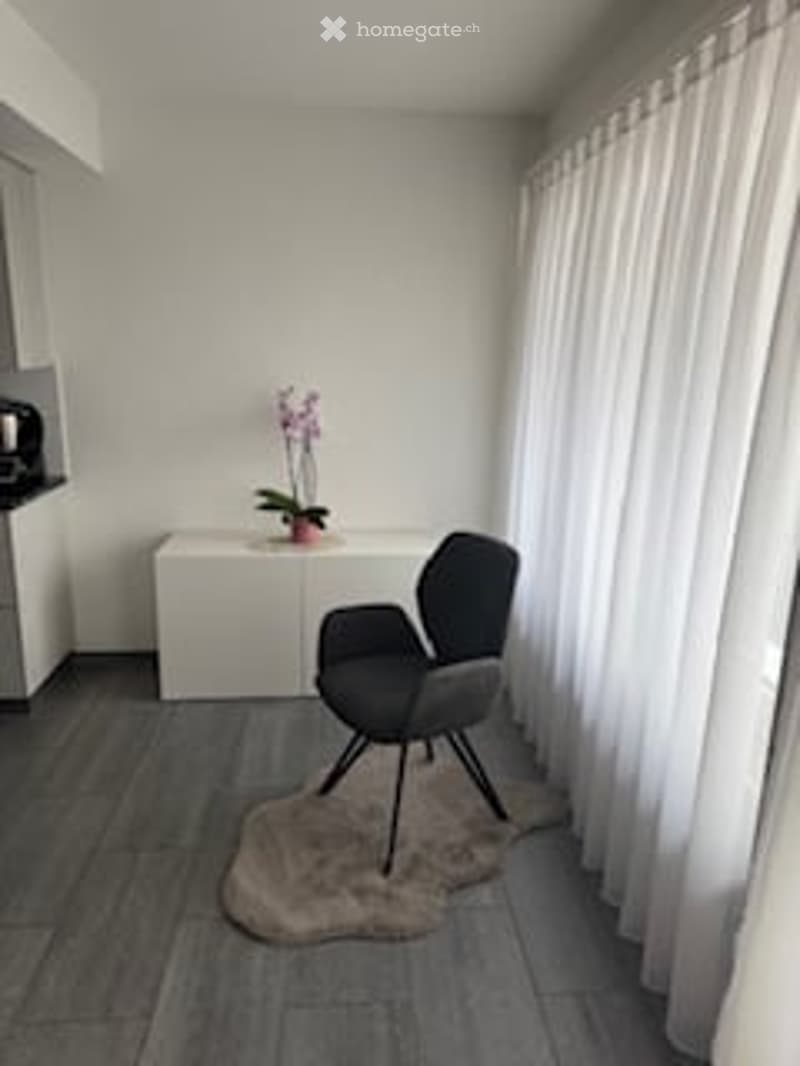 small room with a chair, rug, white cabinet, flower vase, white curtain