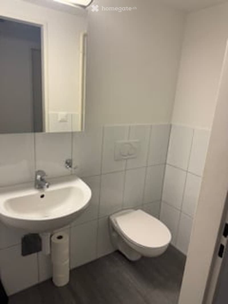 small bathroom with toilet, sink, mirror, and toilet paper holder