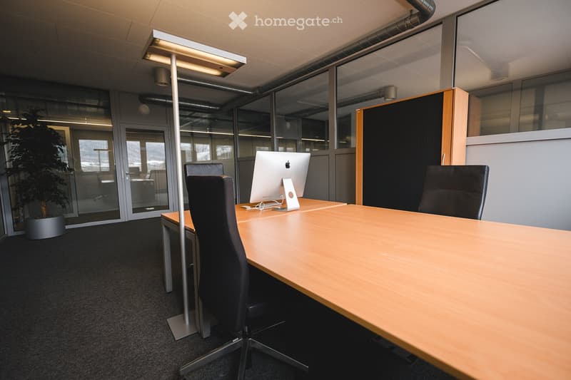 modern office with glass walls, wooden desks, black chairs, Apple computer, floor lamp, potted plant