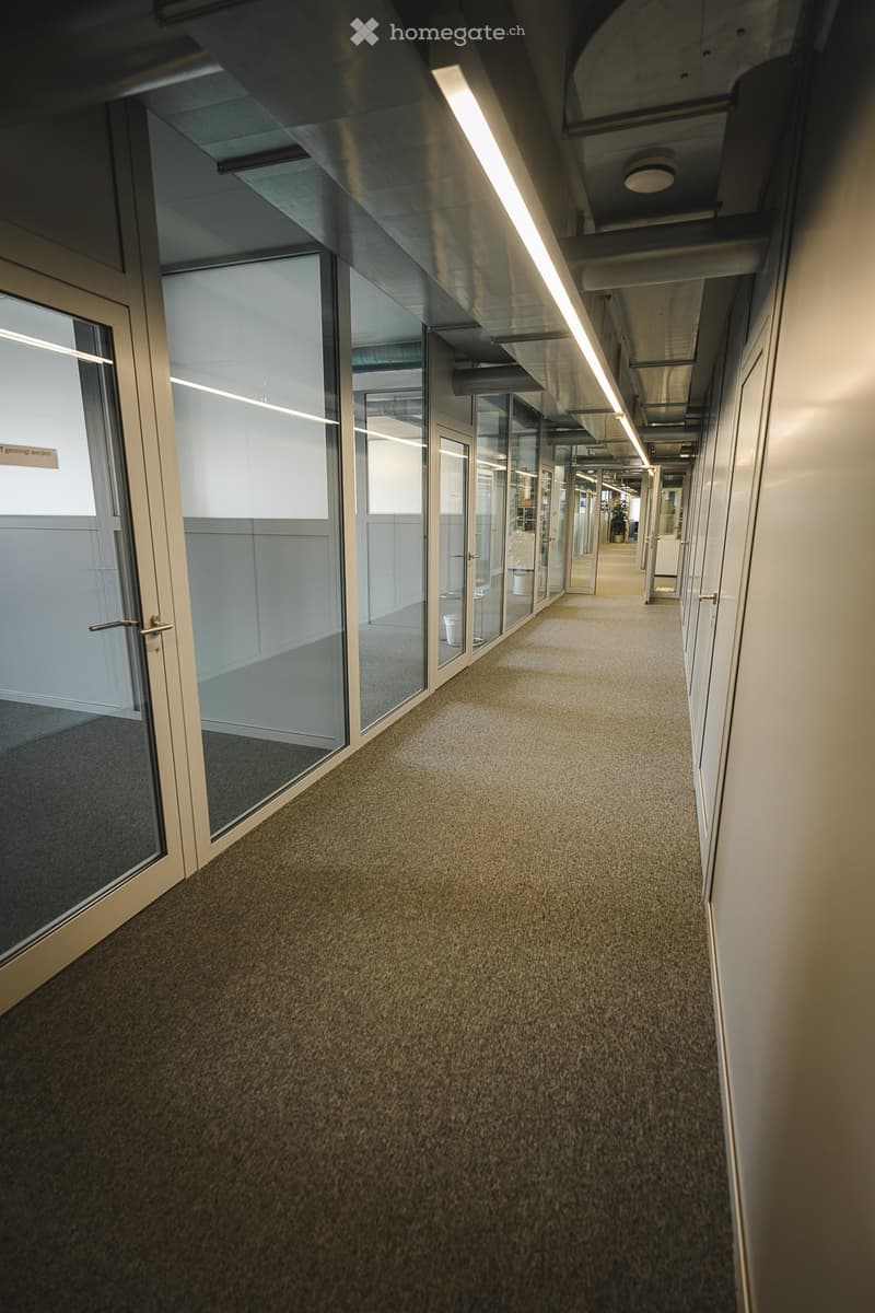 Empty office corridor with glass walls, carpeted floor, and ceiling lights
