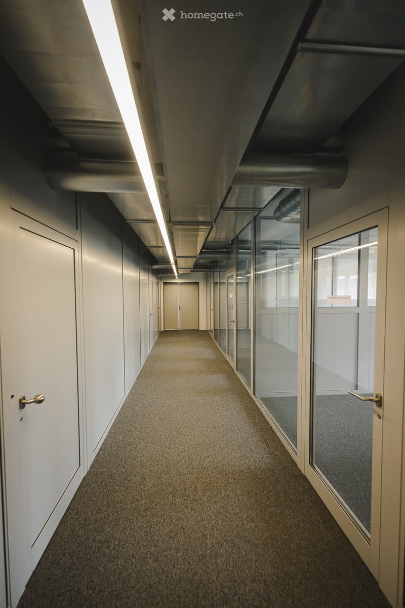 Empty office corridor with white walls, gray carpet, glass doors, and a long fluorescent light on the ceiling.
