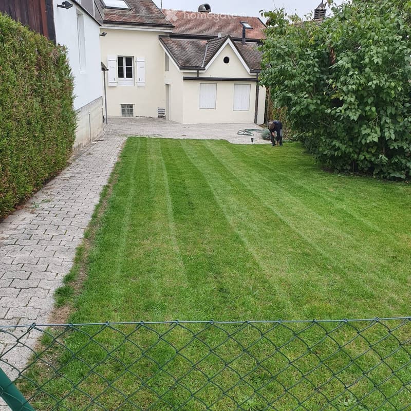 well-maintained lawn, brick pathway, hedge, chain-link fence, person tending to the garden