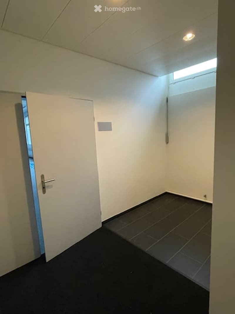 empty room with white walls, ceiling, floor and door. One light on ceiling, window in ceiling.