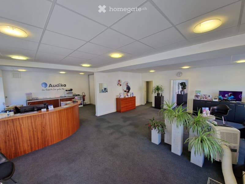 Reception desk, wooden counter, monitors, plants, cabinets, chairs, clock, monitor on wall