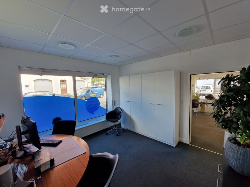 modern office with desk, chairs, computer, cabinets, plants, large window