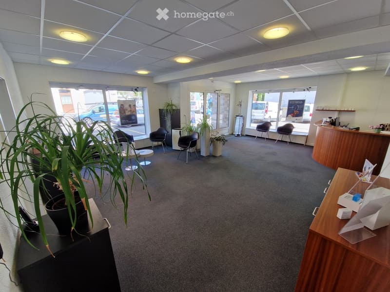 modern office room, carpeted floor, large windows, plants, chairs, desk, lamps