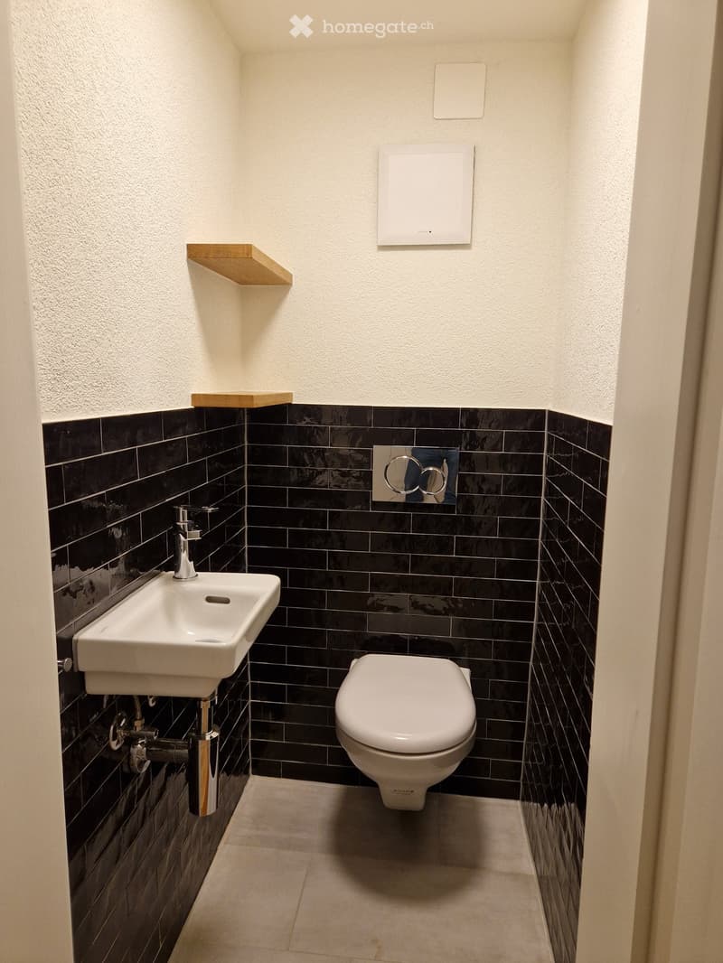 small bathroom with white sink, black tiles, white toilet, wooden shelf