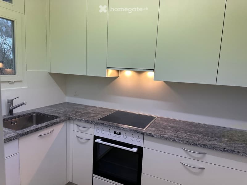 modern kitchen with granite countertops, stainless steel sink, induction stove, built-in oven, under cabinet lighting, white cabinets, and drawers