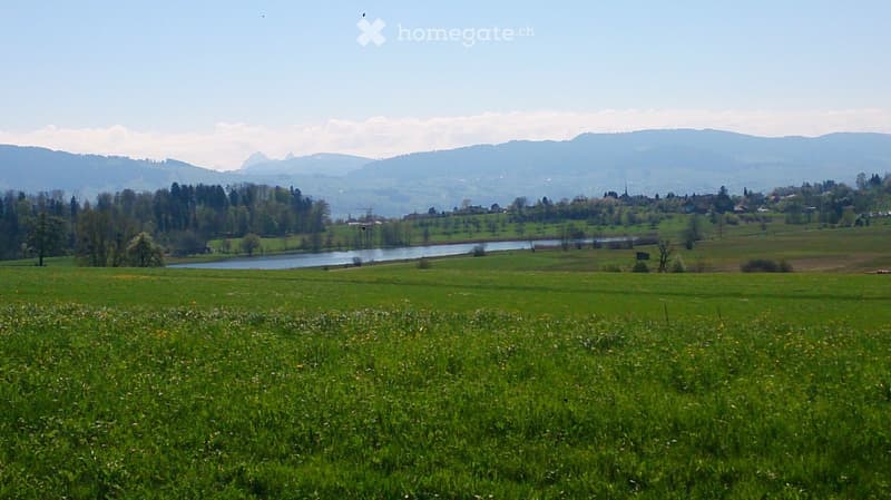 vast green field, lake, mountains in the background, clear sky