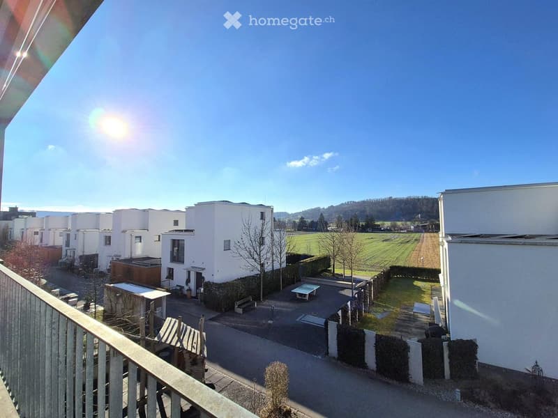 White modern houses, balcony, terrace, view of the field