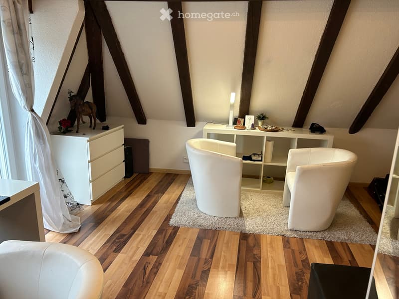 Appartement meublé 1 pièce au cœur de Saint-Gall (2)