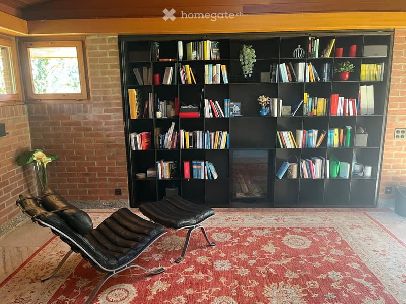 Large bookshelf, two lounge chairs, fireplace, red rug