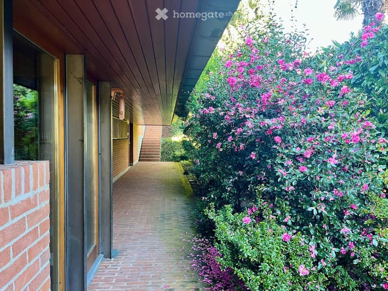 Brick path, open entrance, blooming flowers, hedge