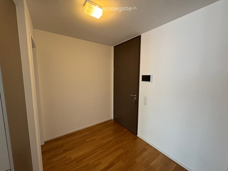 Empty room with wooden floor, white walls, brown door, ceiling light, power outlet