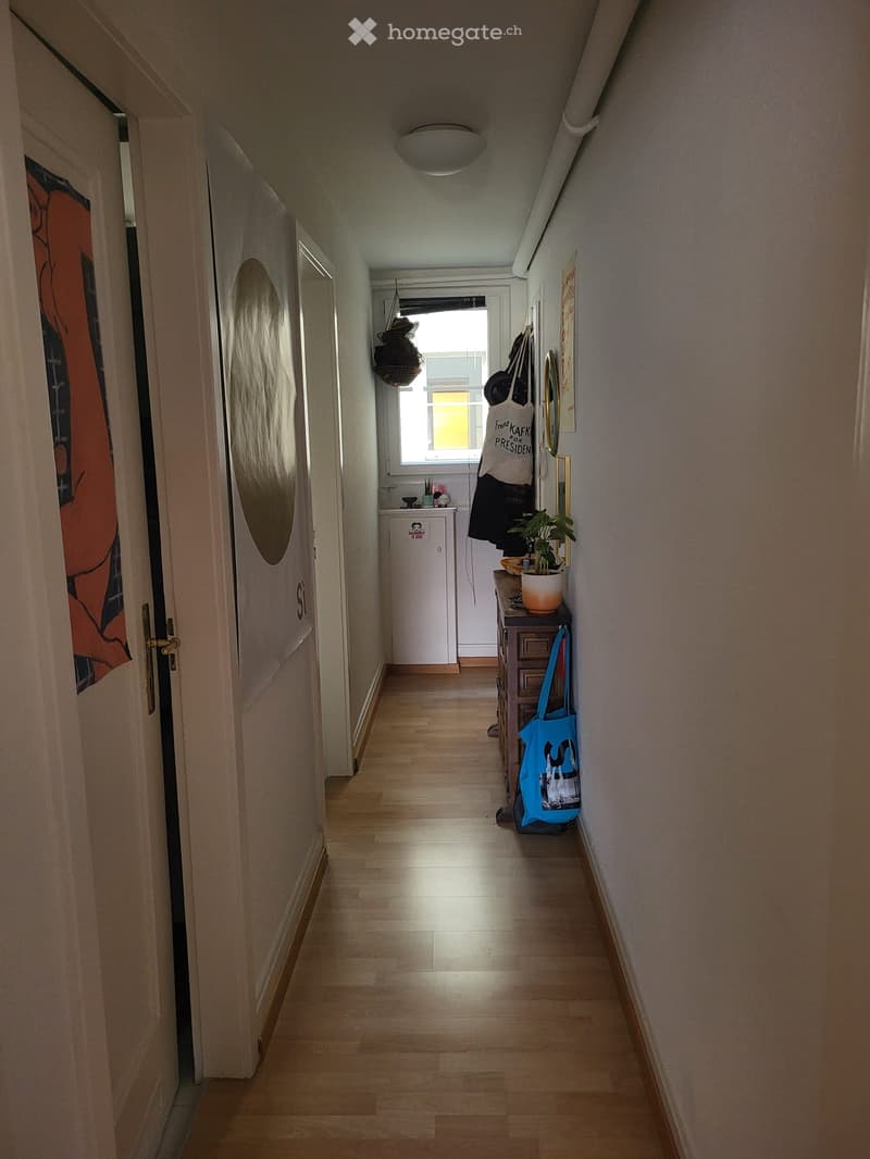 wooden floor, white walls, white doors, small window, potted plant, bags, cabinet, ceiling light