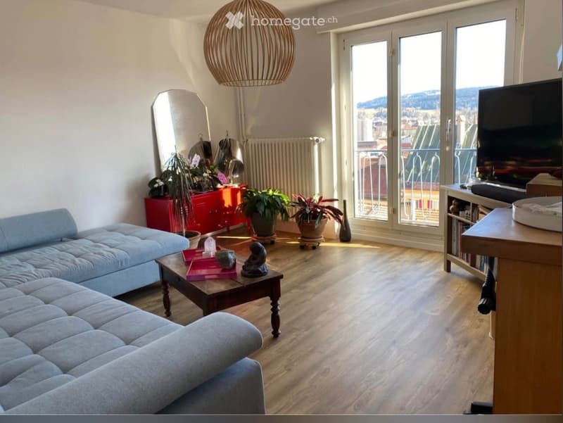 living room with wooden floor, blue sofa, coffee table, TV, balcony, plants, mirror, radiator