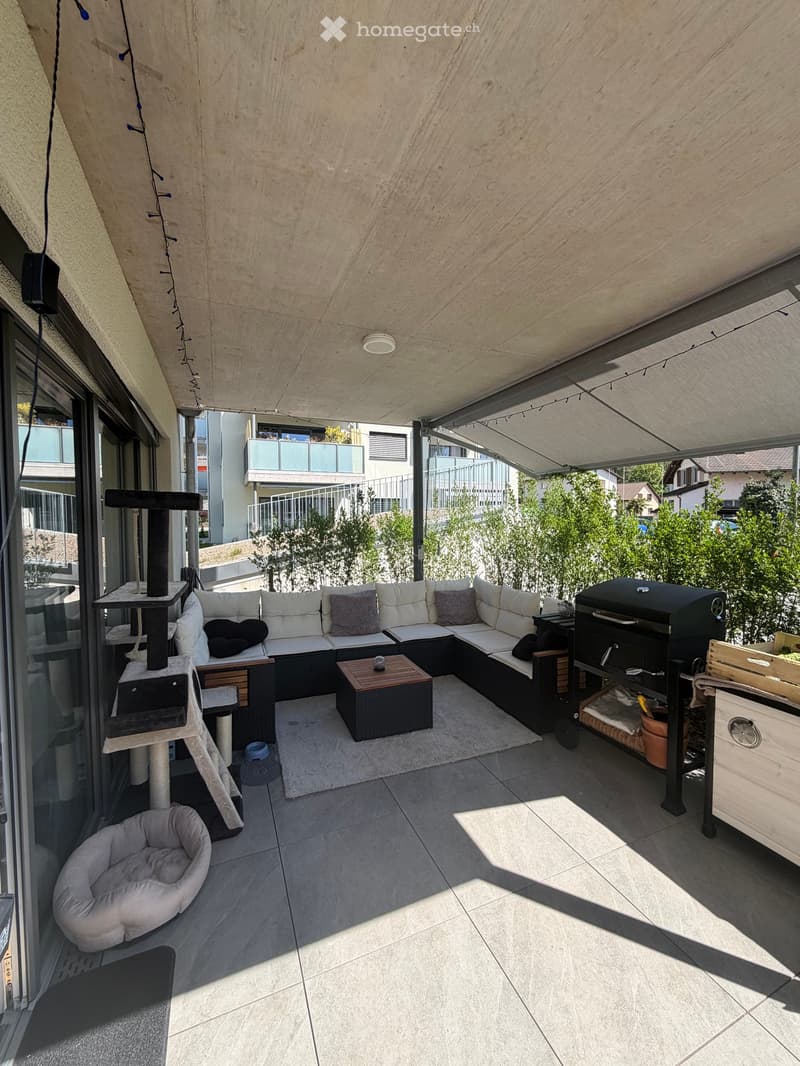 covered terrace, outdoor sofa, coffee table, grill, cat tree, dog bed, storage boxes