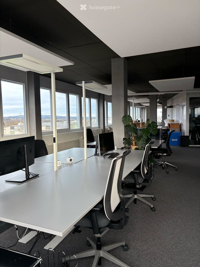 modern office with large windows, white desks, black chairs, computer monitors, plants, carpeted floor
