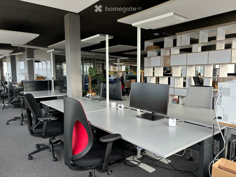 modern office with desks, chairs, monitors, shelves, plants, and ceiling lights
