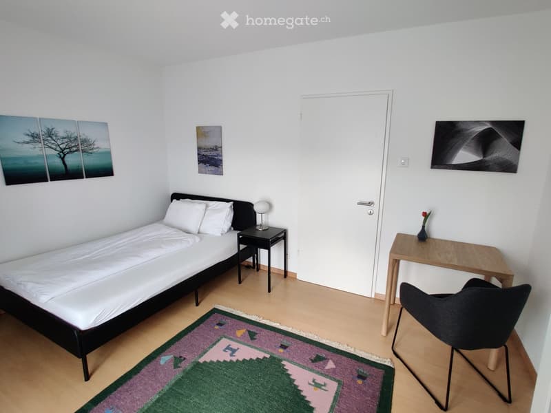 Single bed, night stand, lamp, chair, small desk, rug, paintings on wall