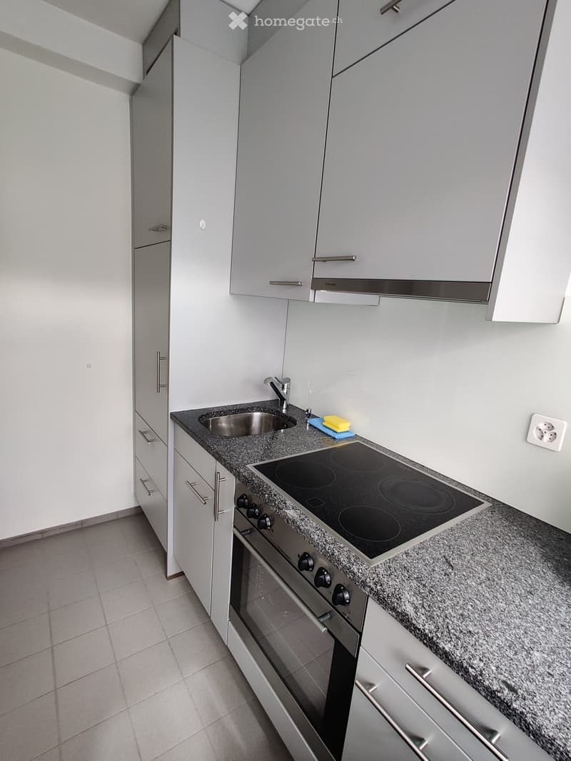 stainless steel sink, induction cooktop, built-in oven, gray granite countertop, white cabinet, gray tile floor