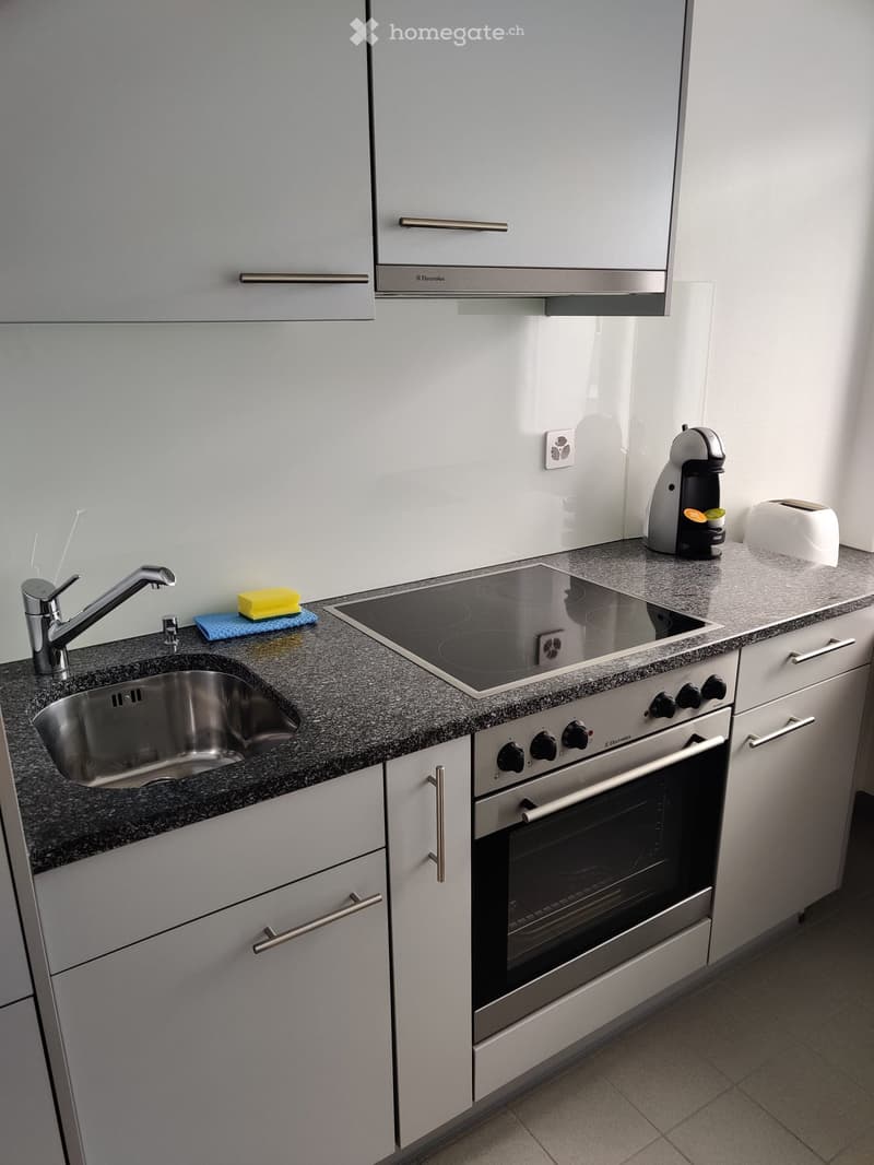modern kitchen with stainless steel sink, induction hob, electric oven, dishwasher, built-in cabinets