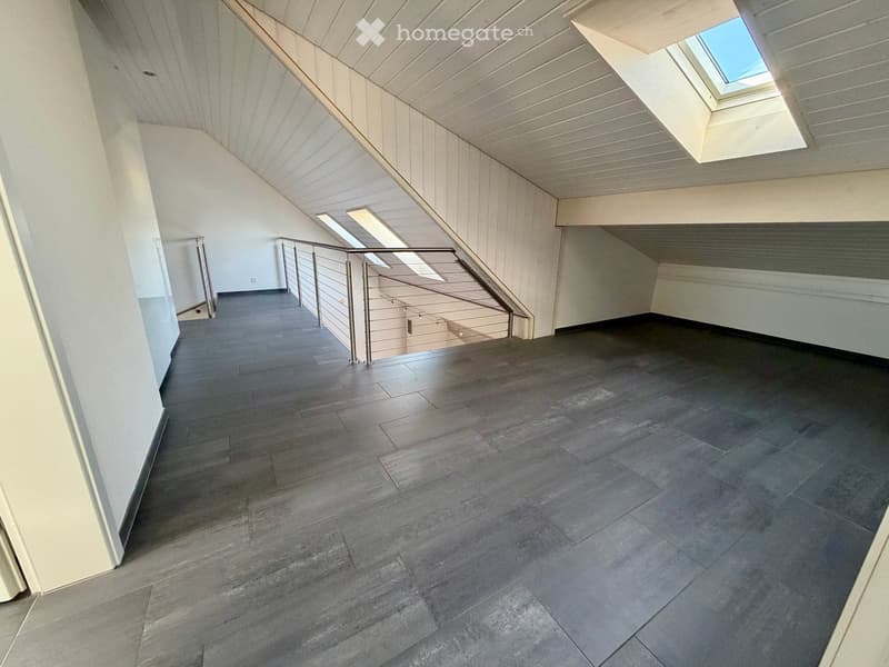 empty room, wooden floor, white walls, metal railing, skylights