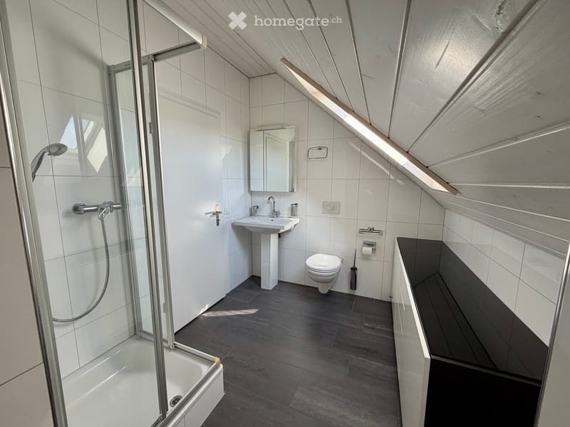 modern bathroom with shower, toilet, sink, mirror, and storage bench
