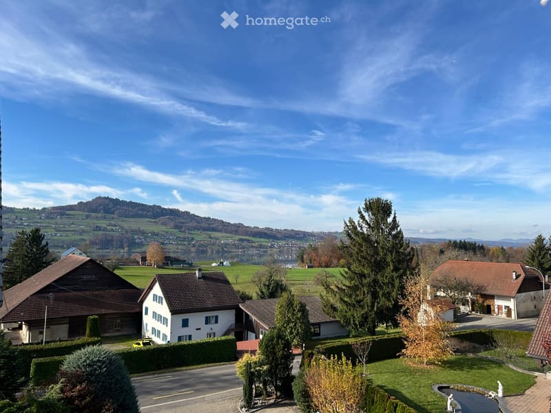 Houses with brown roofs, green fields, trees, and a lake in the distance