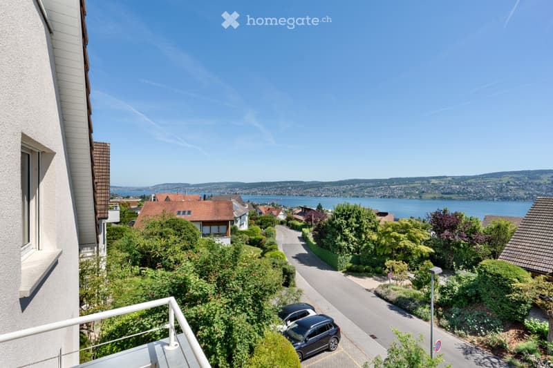 Balcony overlooking a residential area with houses, trees, parked cars, and a scenic lake view in the distance.