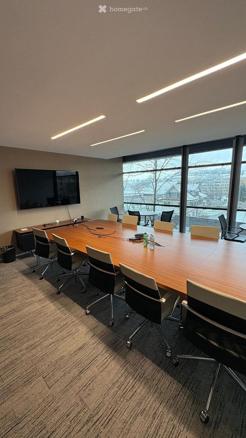 large conference room with a long table, chairs, TV, windows