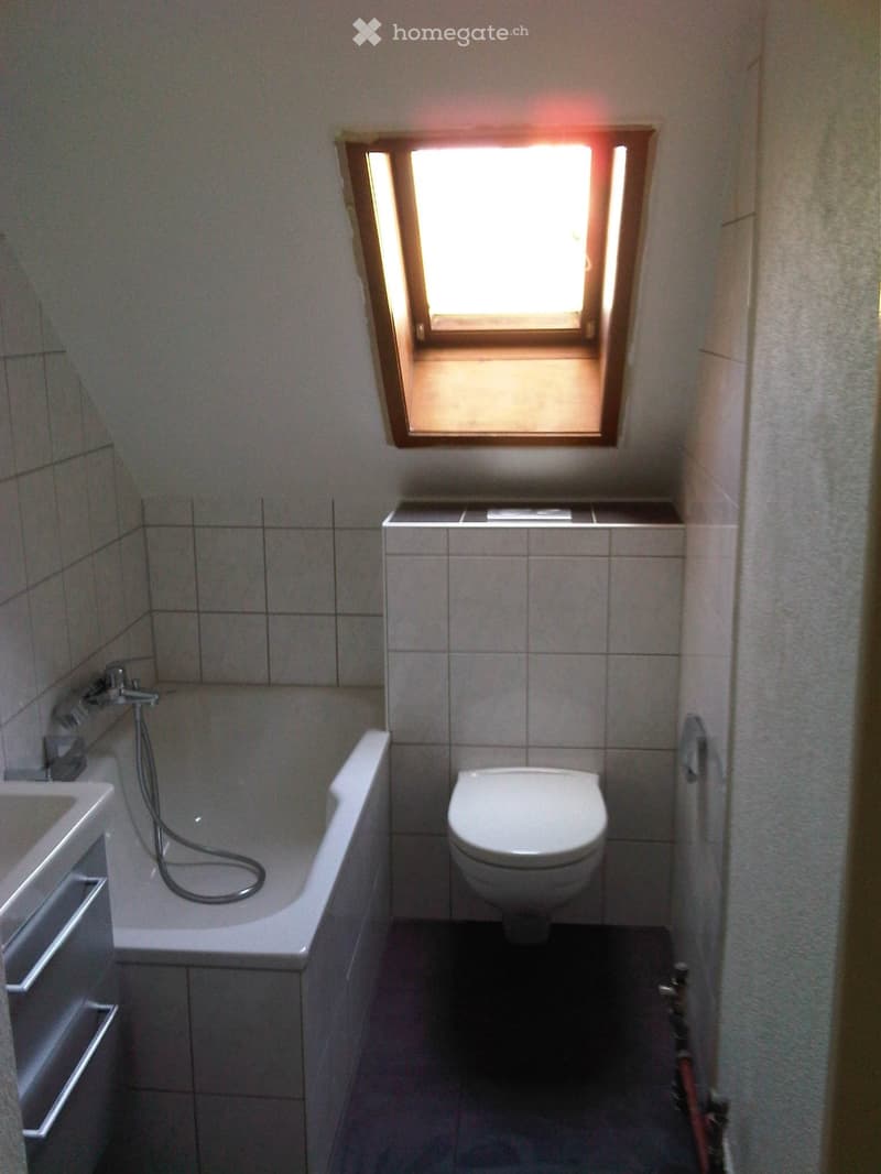 Bathroom with bathtub, toilet, sink, and skylight window