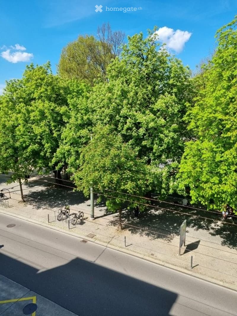 Trees, sidewalk, bicycles, street, road, people