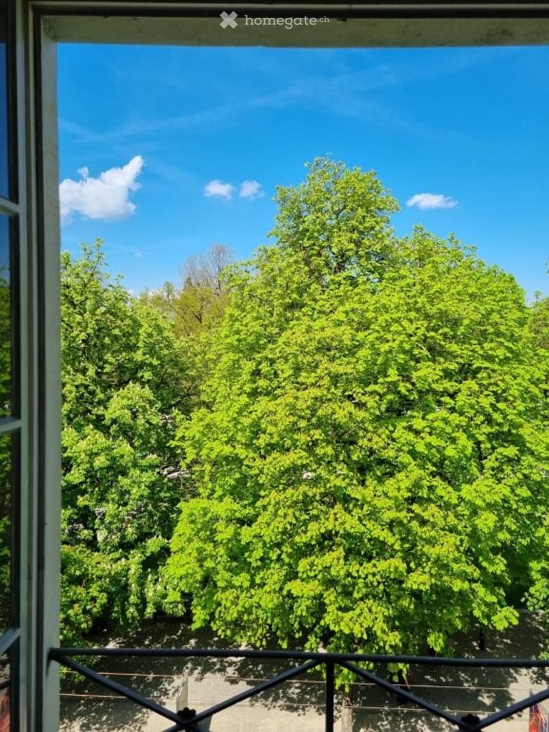 View from balcony, trees, blue sky, clouds