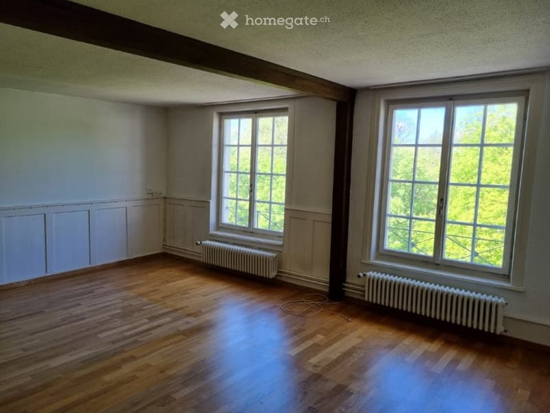 empty room, wooden floor, white walls, two large windows, radiators