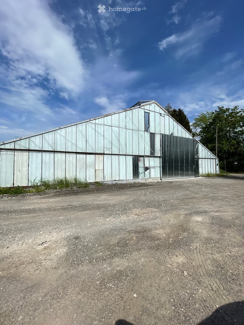 Large industrial building, white exterior, metal siding, large windows, open garage door, gravel parking lot, trees in the background
