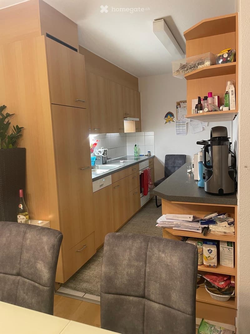 modern kitchen, wooden cabinets, granite countertops, dishwasher, washing machine, coffee machine, sink, faucet, refrigerator, microwave, oven, shelves, chairs, table, potted plant