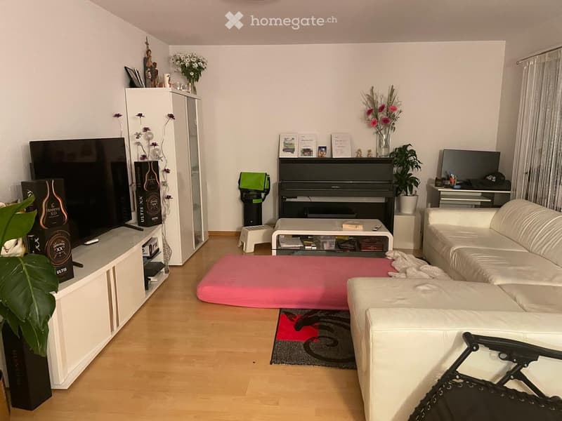 white couch, pink rug, coffee table, piano, TV, entertainment center, plants