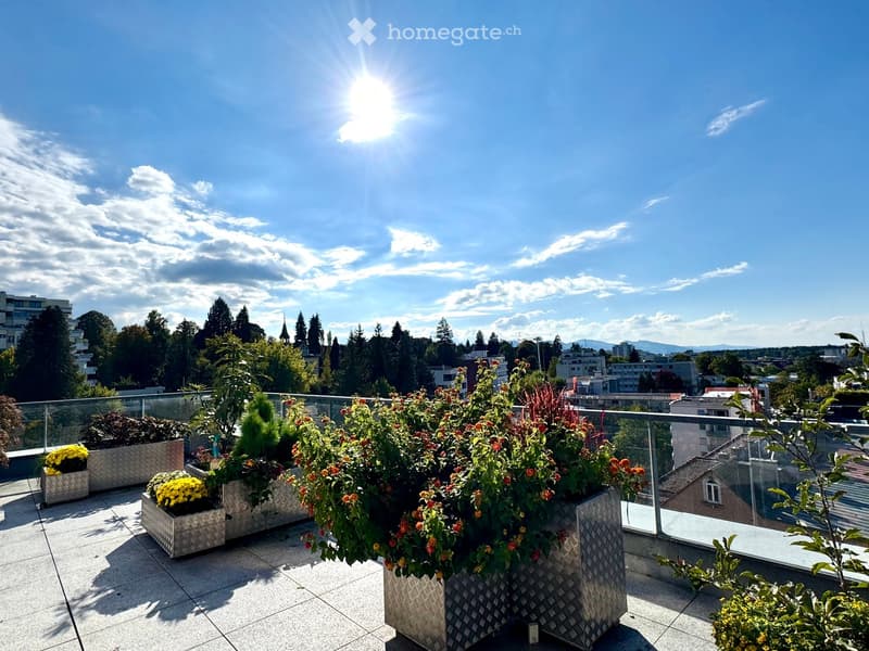Terrace with plants, metal planters, metal railing, view of the city