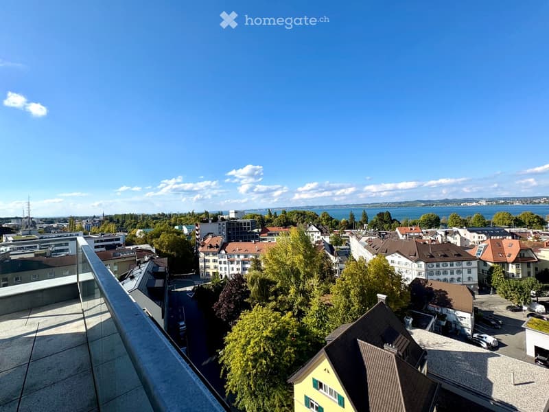 Aerial view of a city with buildings, trees, and a body of water in the distance