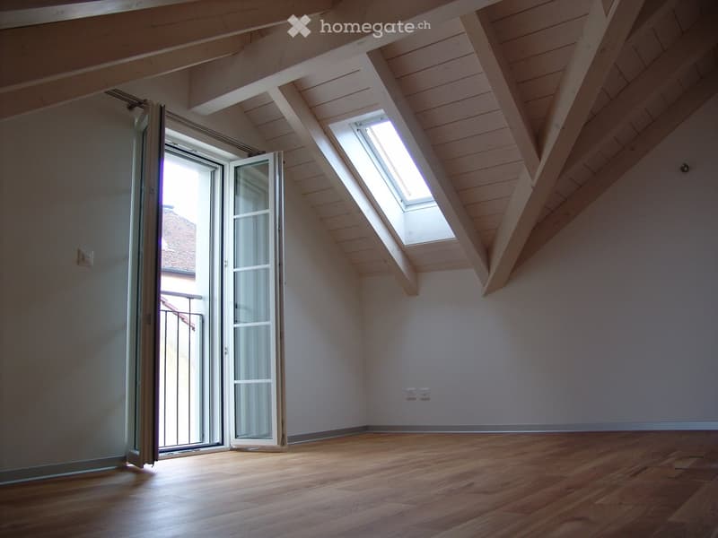 empty room, wooden floor, white walls, glass door, balcony, skylight