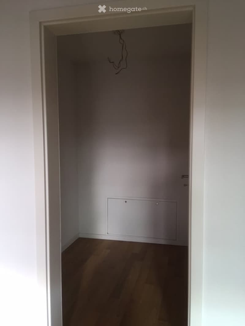 empty room, white walls, wooden floor, white door, white panel on wall