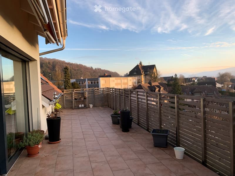 tiled floor, wooden fence, potted plants, view of the city