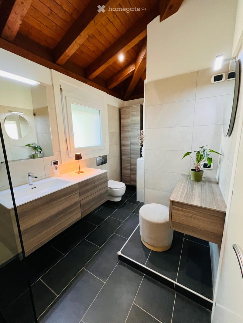 modern bathroom with wooden ceiling, black tiles, white sink, mirror, toilet, lamp, potted plant