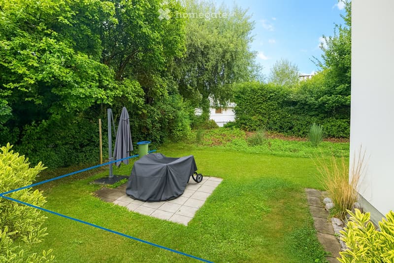 Green lawn, bushes, trees, covered grill, blue line indicating area
