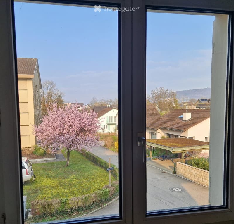 View from the window of a house with a garden and a cherry blossom tree