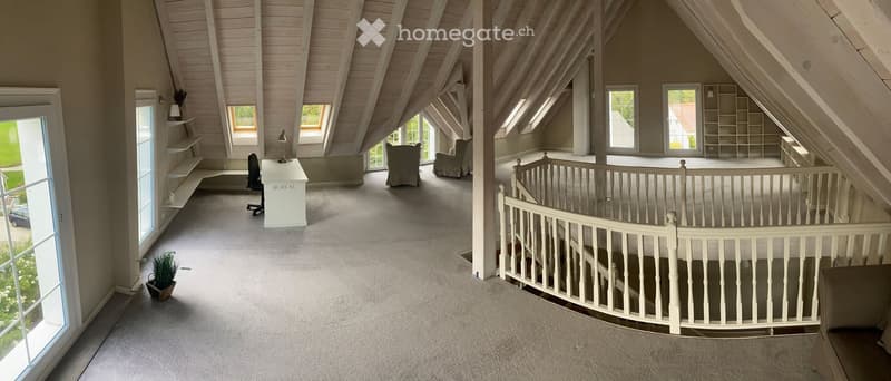 Office, two windows, balcony, desk, plant, couch, carpet