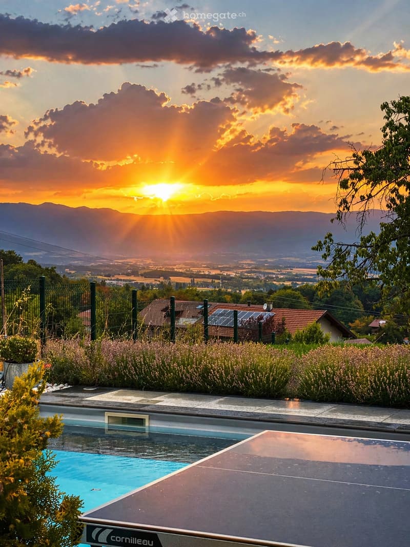 pool, table tennis, plants, mountains, sunset